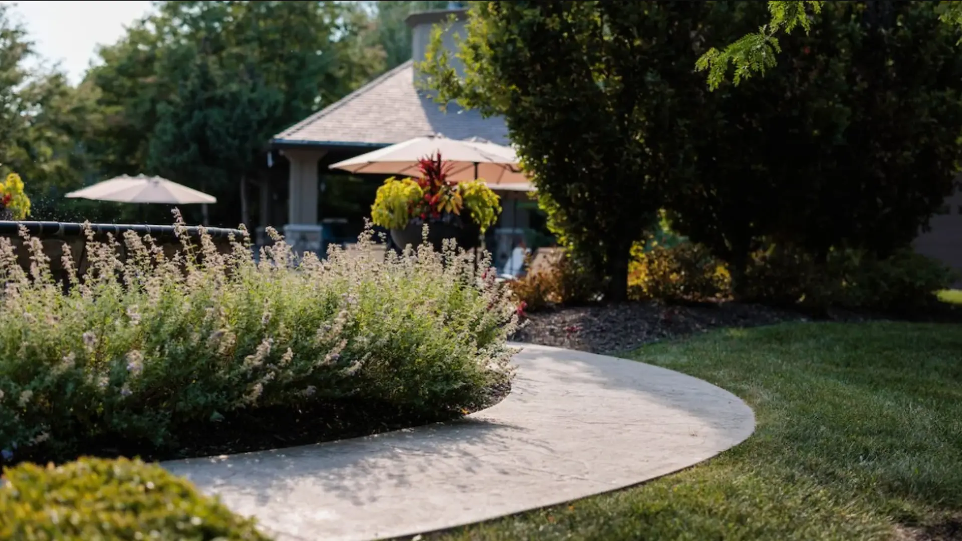 A beautiful lawn.